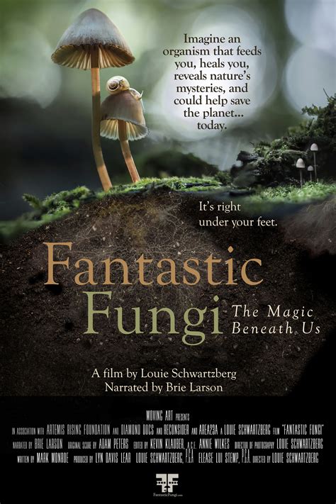 John cena magical fungi